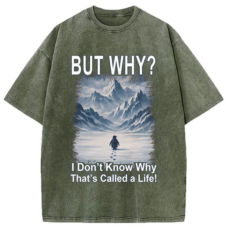 Modecanvas But Why Mountain Nihilist Penguin DTG Printing Washed T-Shirt-modecanvas