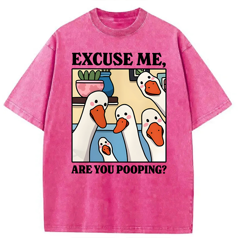 Modecanvas Are You Pooping Goose Meme DTG Printing Washed T-Shirt-modecanvas