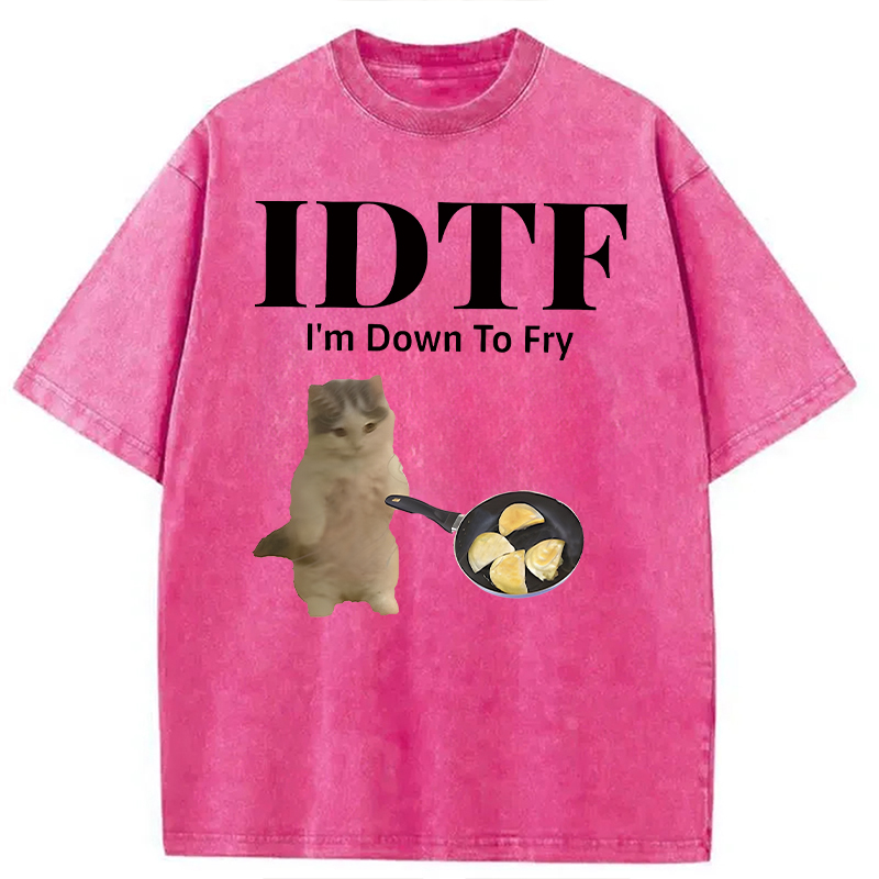 Modecanvas IDTF Pierogi DTG Printing Washed T-Shirt-modecanvas