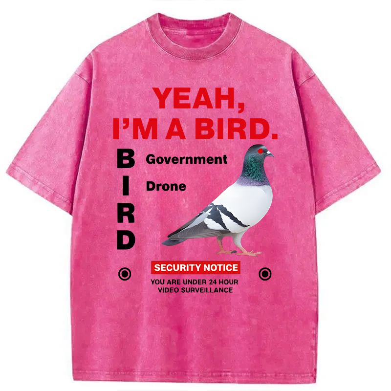 Modecanvas Government Funny Pigeon Puns DTG Printing Washed T-Shirt-modecanvas