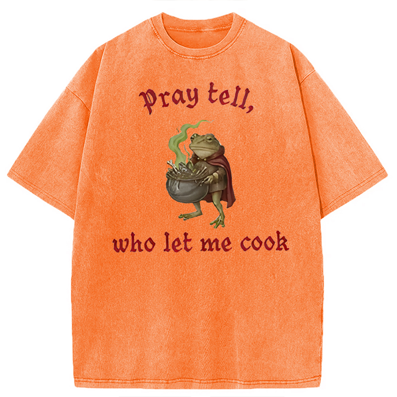 Modecanvas Pray Tell Funny Frog Meme DTG Printing Washed T-Shirt-modecanvas