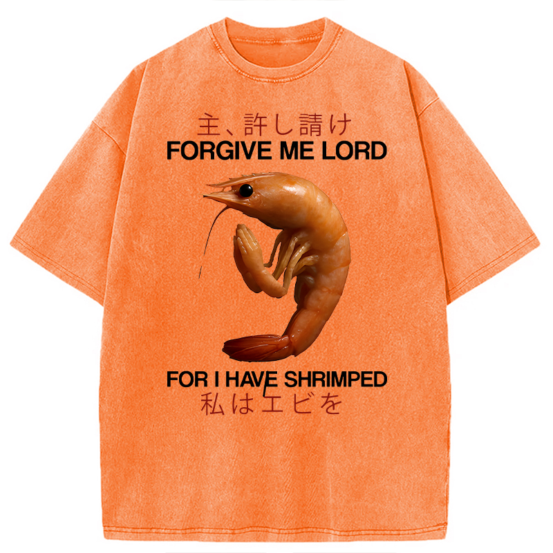 Modecanvas Forgive Me Lord For I Have Shrimped DTG Printing Washed T-Shirt-modecanvas