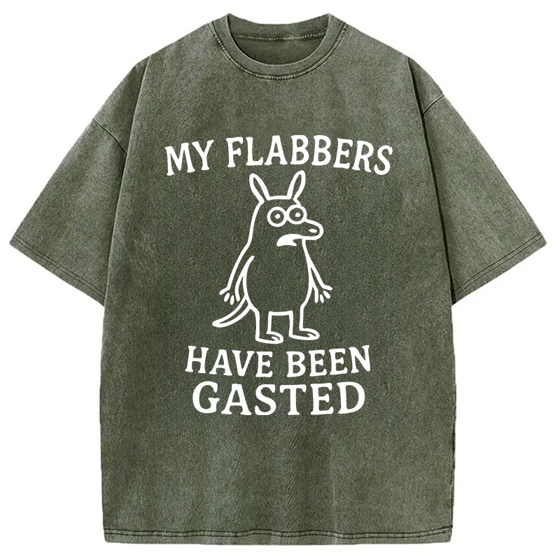 Modecanvas My Flabbers Have Been Gasted Funny Meme DTG Printing Washed T-Shirt-modecanvas