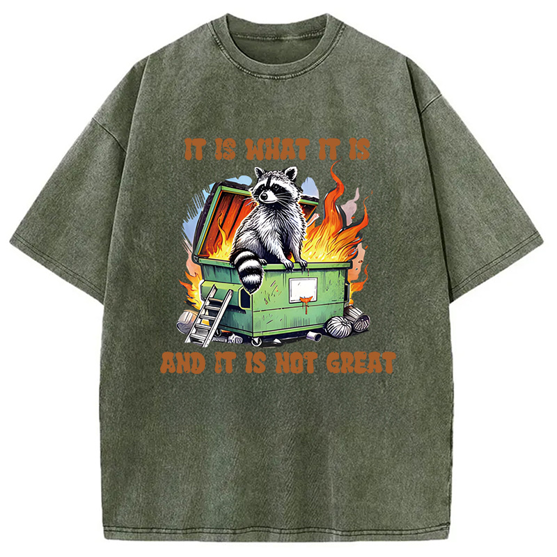 Modecanvas It is What Not Great Raccoon Meme DTG Printing Washed T-Shirt