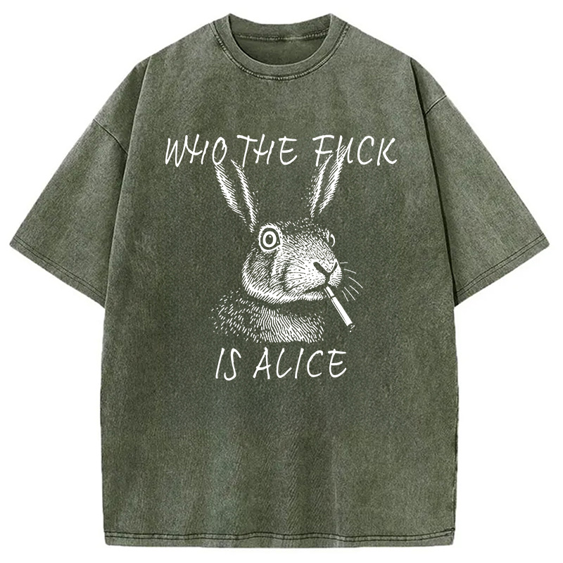 Modecanvas Who The Fck Is Alice Meme DTG Printing Washed T-Shirt