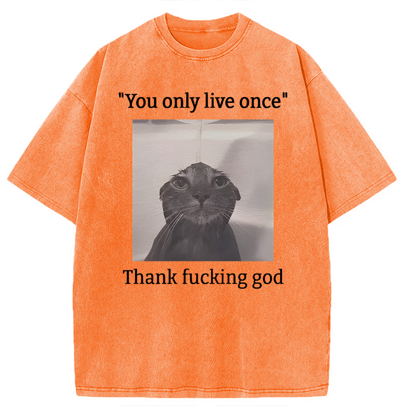 Modecanvas Funny Depressed Meme Cat DTG Printing Washed T-Shirt