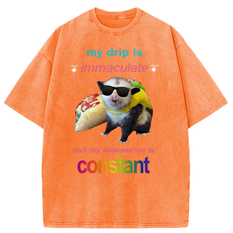 Modecanvas My Drip Is Immaculate DTG Printing Washed T-Shirt