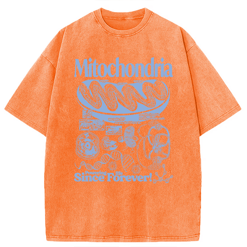 Modecanvas Mitochondria Vintage Science DTG Printing Washed T-Shirt
