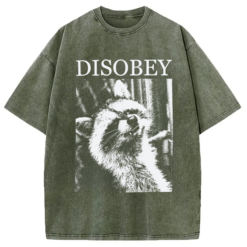 Modecanvas Disobey Raccoon DTG Printing Washed T-Shirt