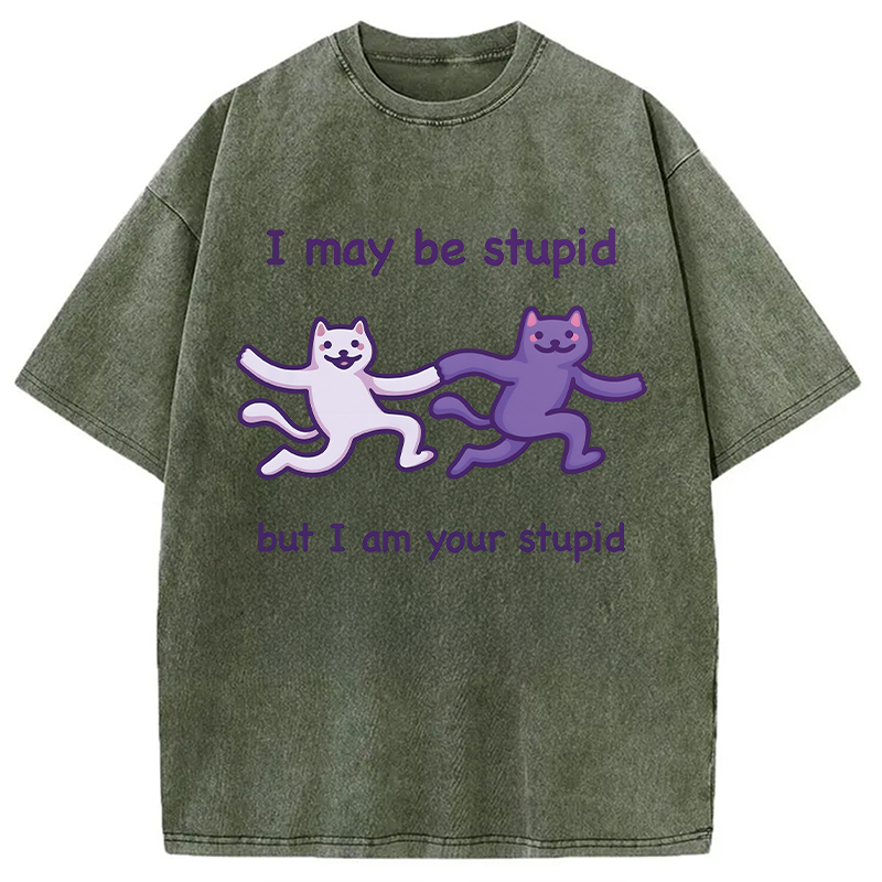 Modecanvas I Am Your Stupid DTG Printing Washed T-Shirt
