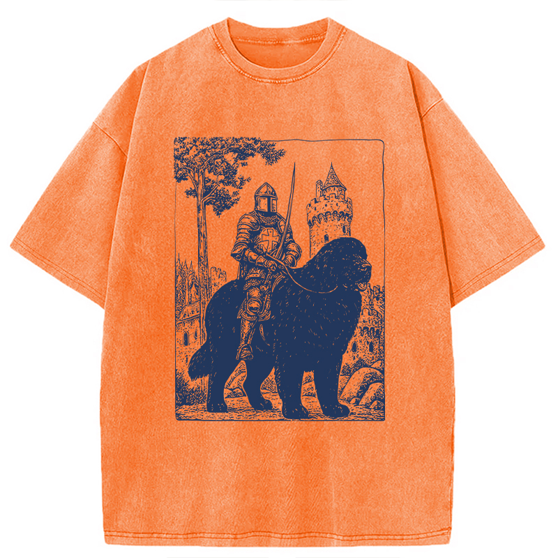Modecanvas Knight Newfoundland Rider Vintage DTG Printing Washed T-Shirt