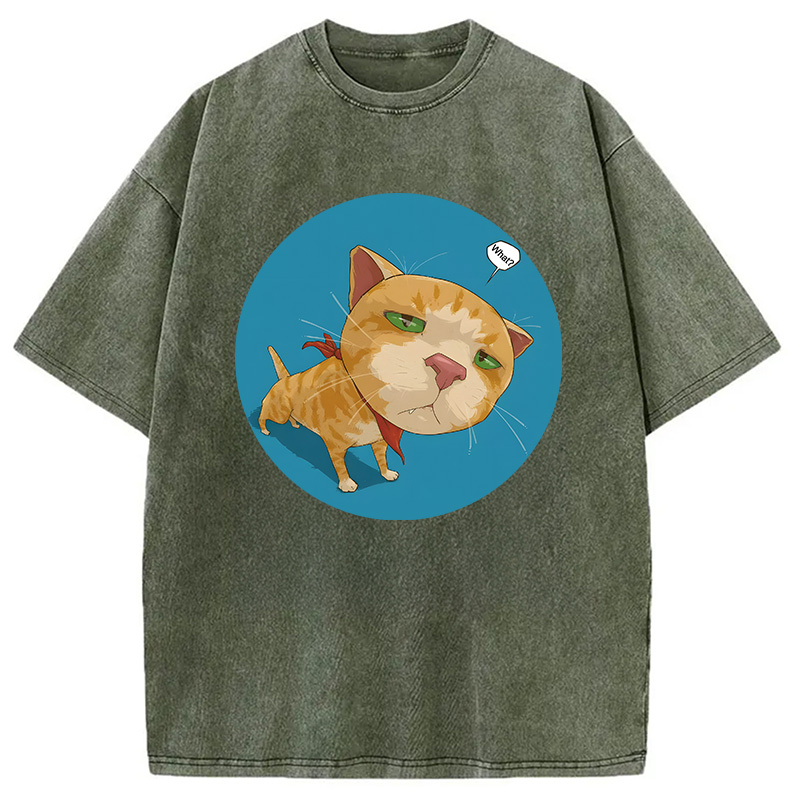 Modecanvas Confusing Cat DTG Printing Washed T-Shirt