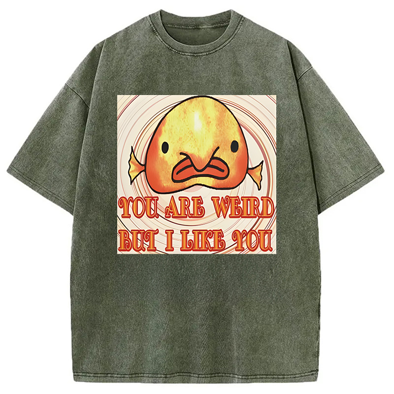 Modecanvas Odly Adorable Fish Meme DTG Printing Washed T-Shirt