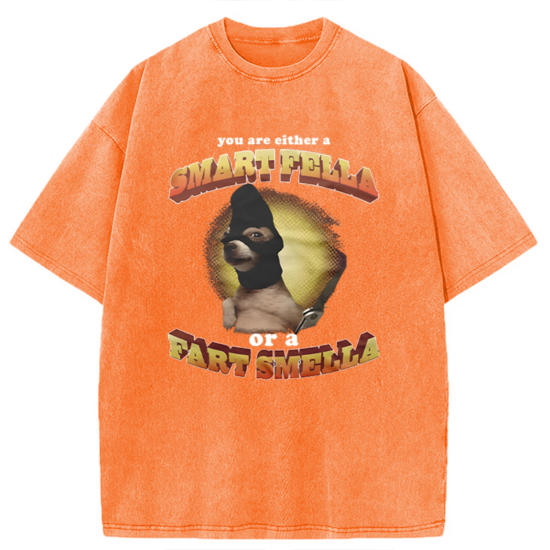 Modecanvas You Are Either A Smart Fella Or A Fart Smella Funny Meme DTG Printing Washed T-Shirt