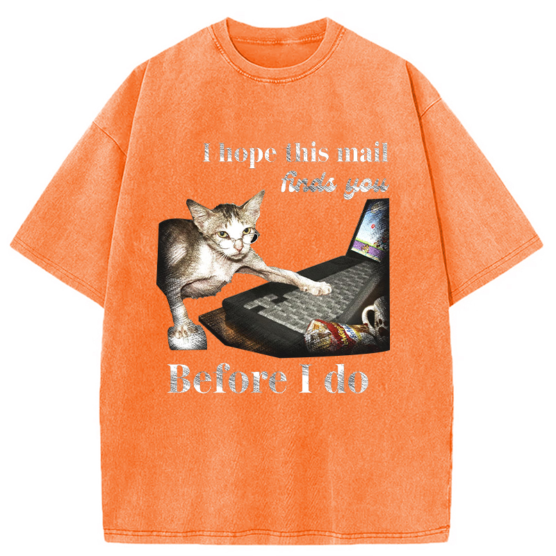Modecanvas Funny Send Mail Cat Meme DTG Printing Washed T-Shirt