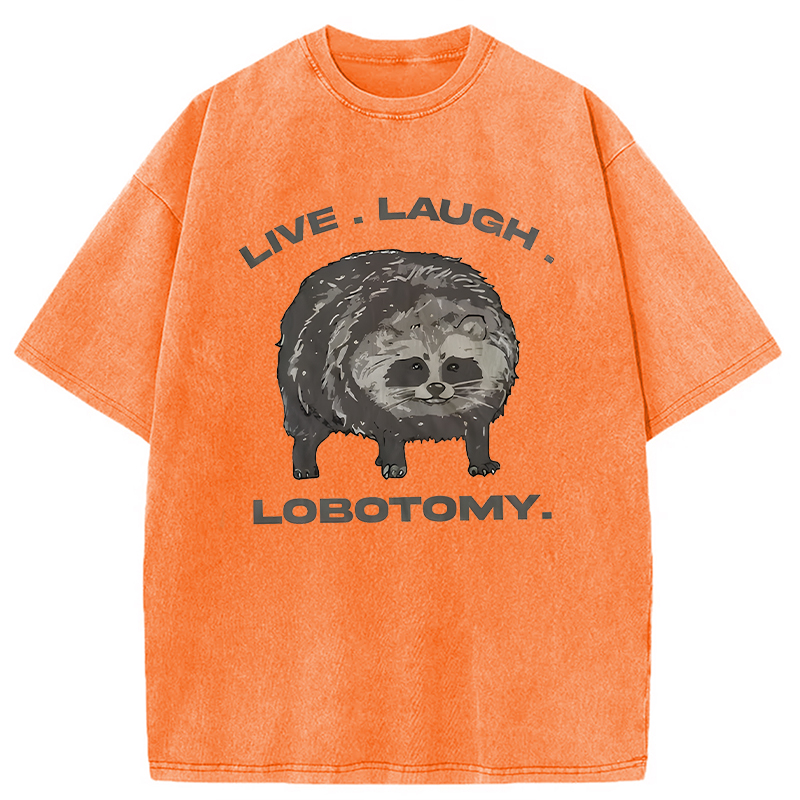 Modecanvas Live Laugh Lobotomy Funny Dolphin Meme DTG Printing Washed T-Shirt