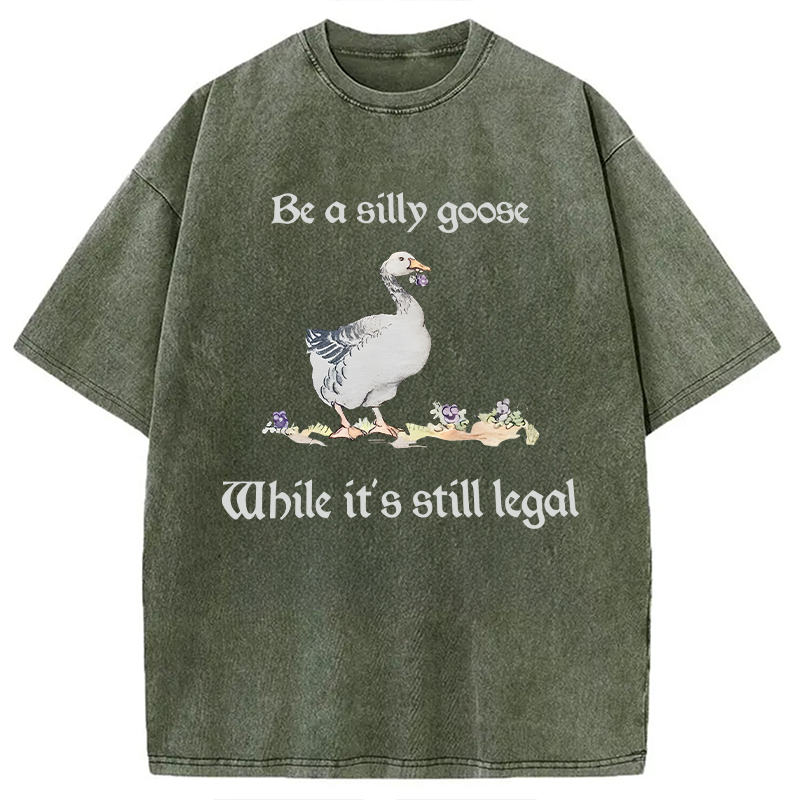 Modecanvas Be A Silly Goose DTG Printing Washed T-Shirt