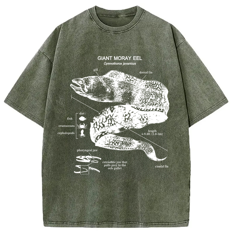 Modecanvas Moray Eel Anatomy Vintage DTG Printing Washed T-Shirt