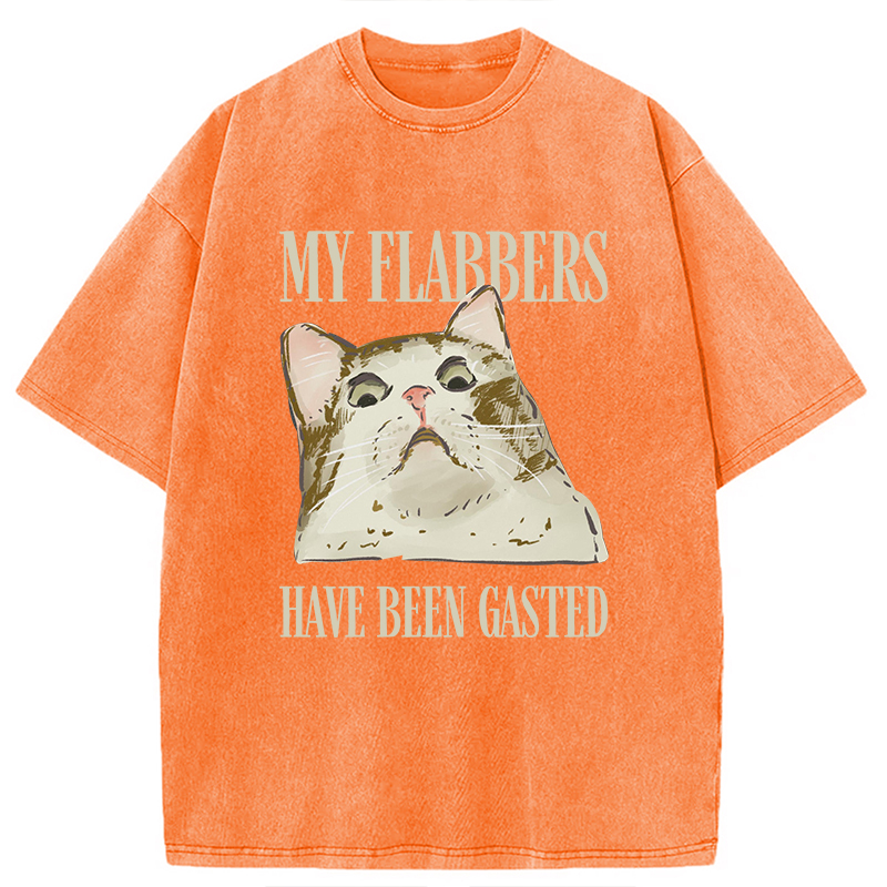 Modecanvas My Flabbers Have Been Gasted Cat Meme DTG Printing Washed T-Shirt