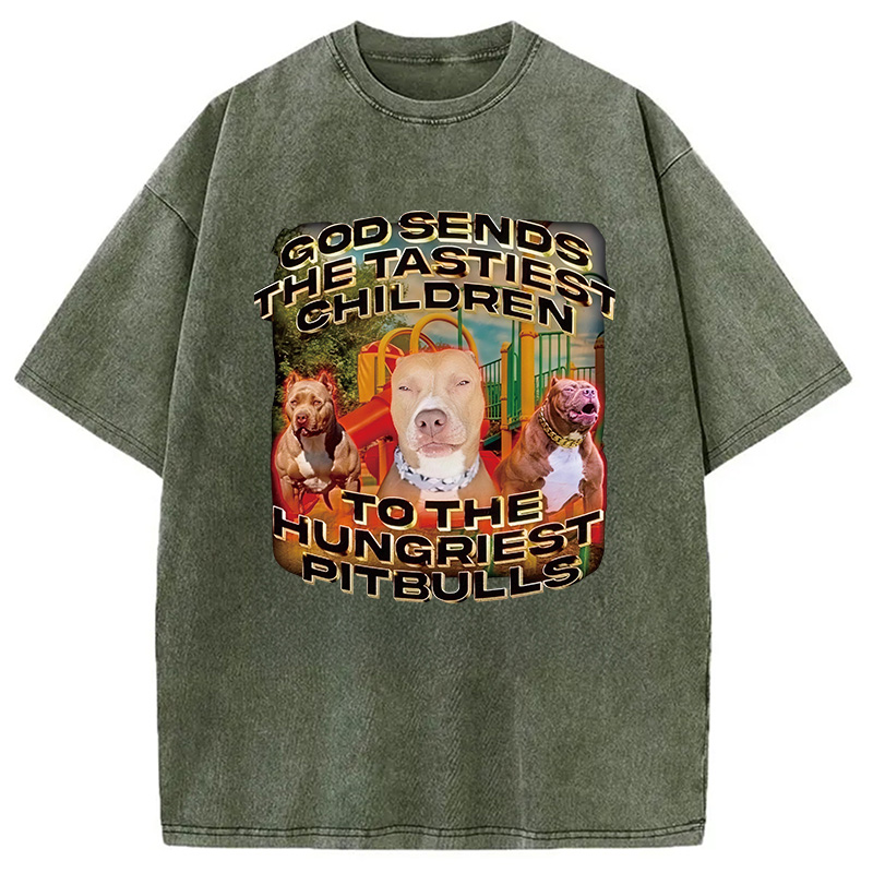 Modecanvas God Sends The Tastiest Children To The Hungriest Pitbulls DTG Printing Washed T-Shirt