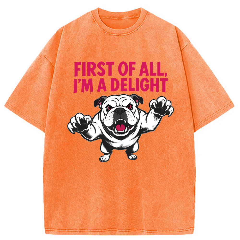 Modecanvas Fierce Bulldog Delight DTG Printing Washed T-Shirt