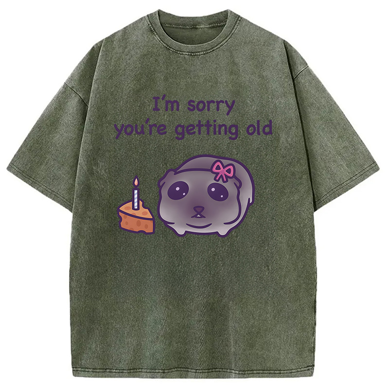 Modecanvas Sad Hamster Birthday Meme DTG Printing Washed T-Shirt