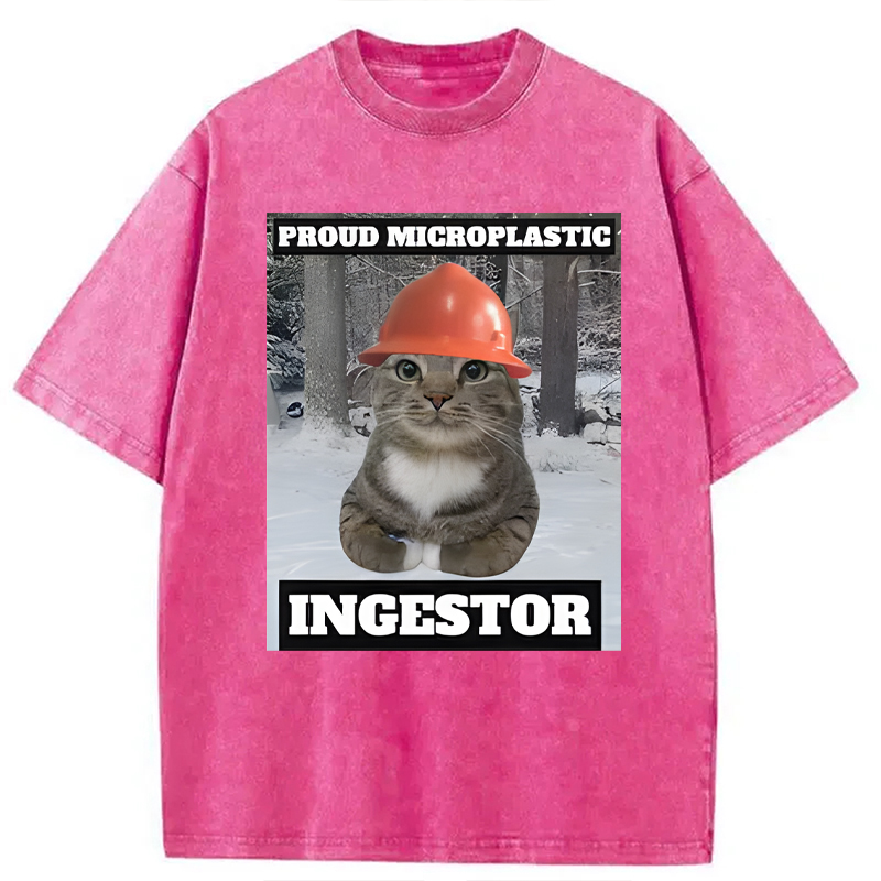 Modecanvas Proud Microplastic Ingestor Cat Meme DTG Printing Washed T-Shirt