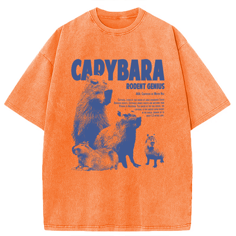 Modecanvas Capybara Vintage DTG Printing Washed T-Shirt