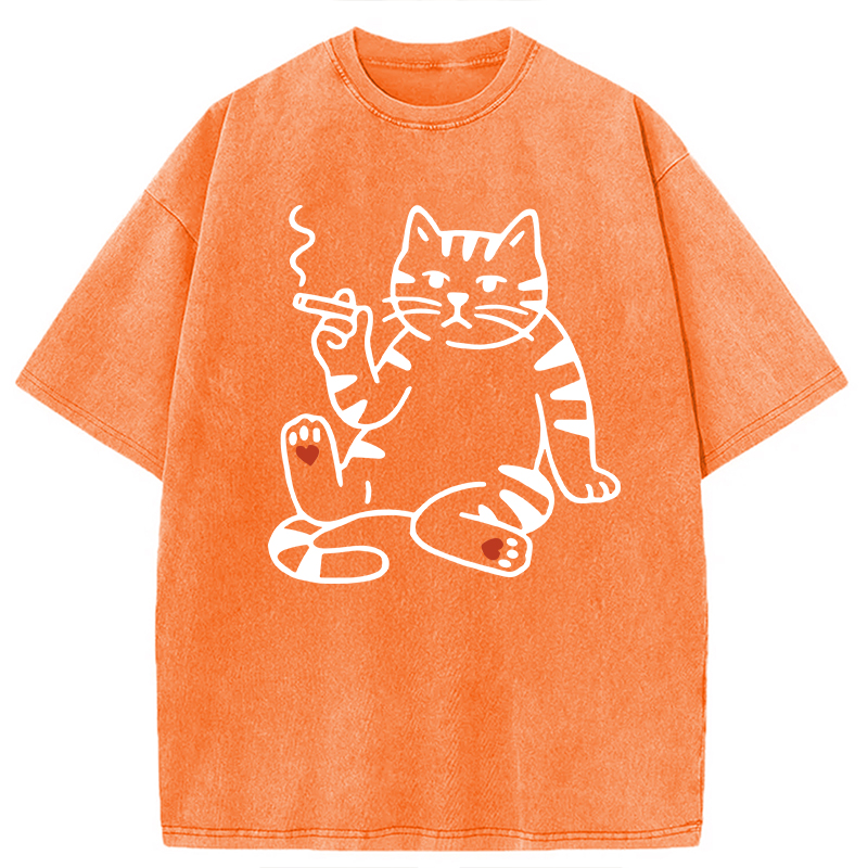 Modecanvas Funny Smoking Cat Meme DTG Printing Washed T-Shirt