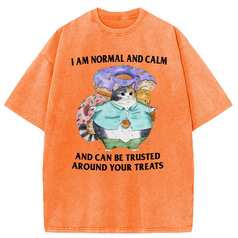 Modecanvas I Can Be Trusted Around Your Treats DTG Printing Washed T-Shirt
