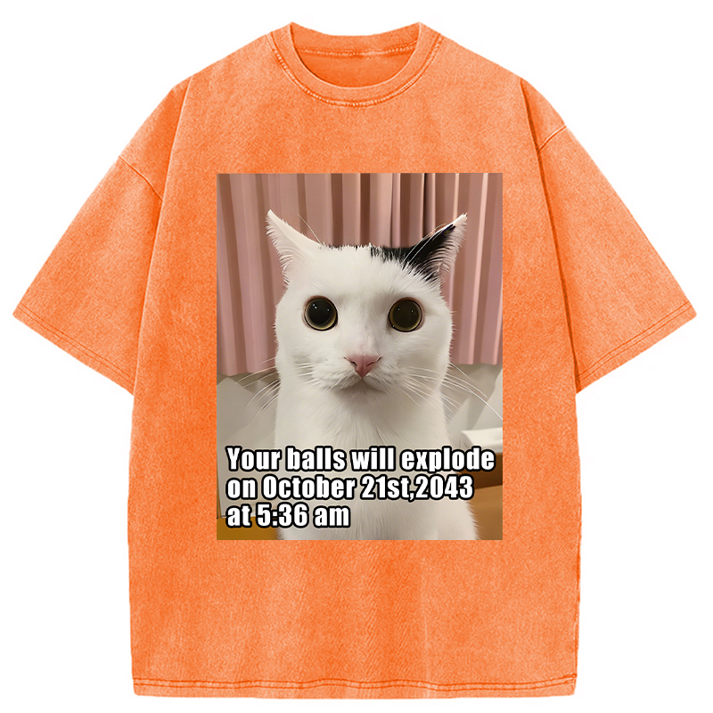 Modecanvas Your Balls Will Explode Funny Cat Meme DTG Printing Washed T-Shirt