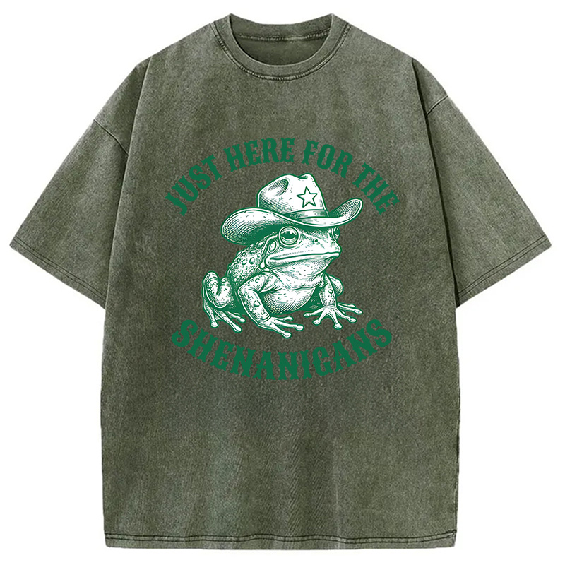 Modecanvas Just Here for the Shenanigans Frog DTG Printing Washed T-Shirt