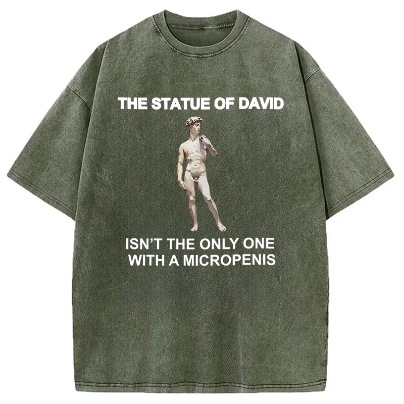 Modecanvas The Statue Of David Meme DTG Printing Washed T-Shirt