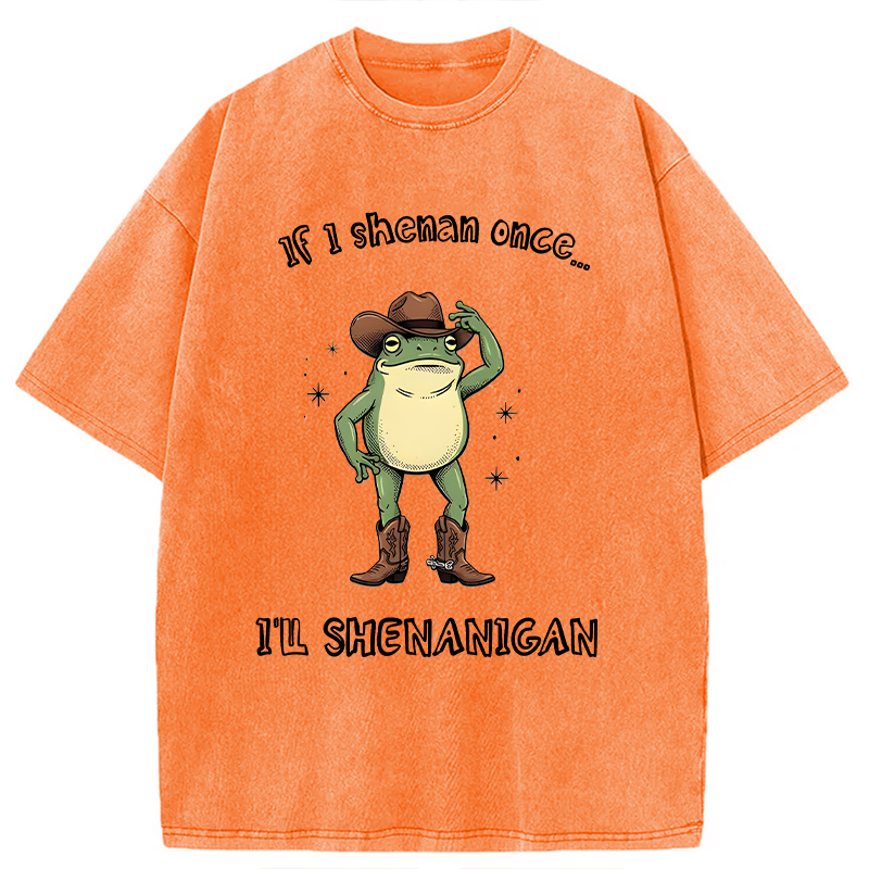 Modecanvas I ll Shenanigan Frog DTG Printing Washed T-Shirt