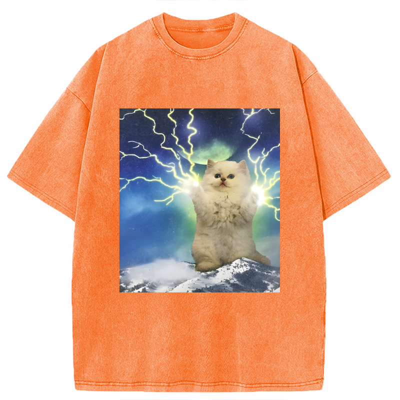 Modecanvas Lightning Cat DTG Printing Washed T-Shirt