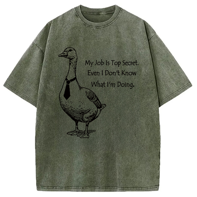Modecanvas Serious Goose Funny Washed T-Shirt