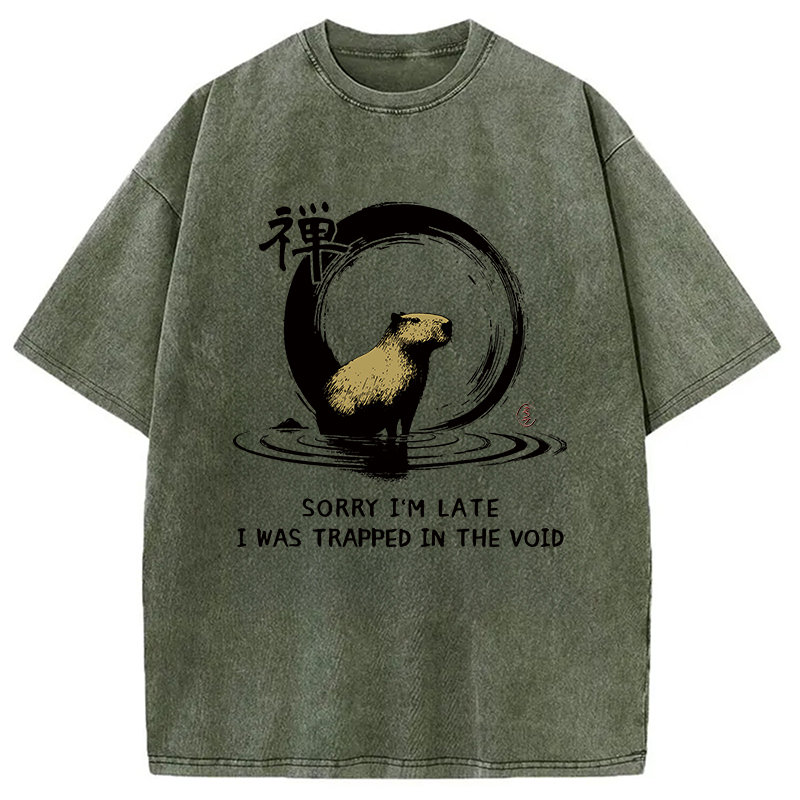 Modecanvas Zen Capybara Was Trapped In The Void Washed T-Shirt