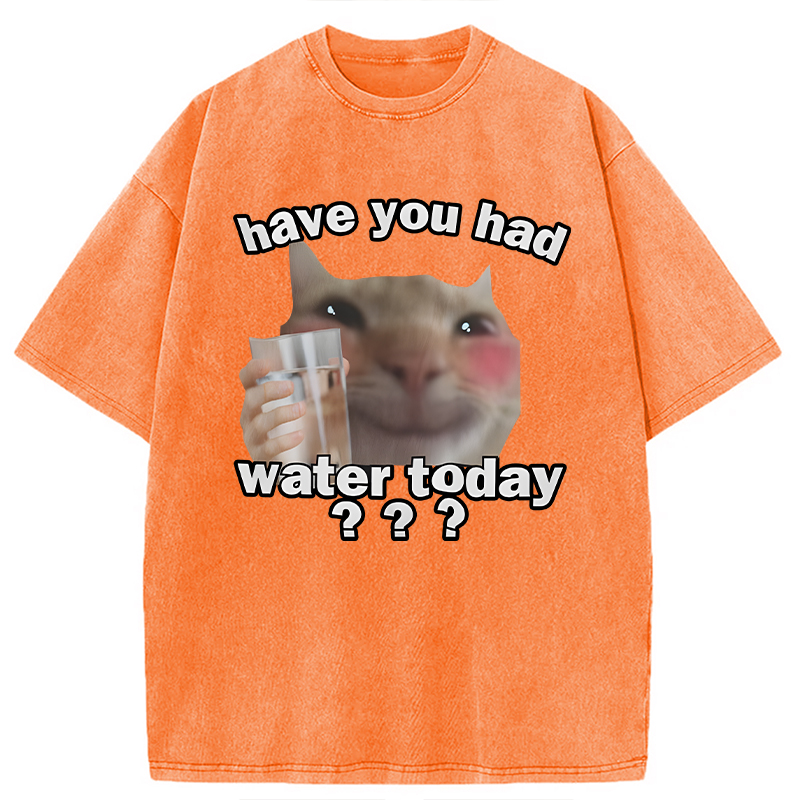 Modecanvas Remind To Drink Water DTG Printing Washed T-Shirt