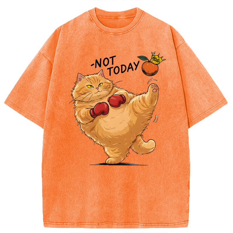 Modecanvas Boxing Cat DTG Printing Washed T-Shirt