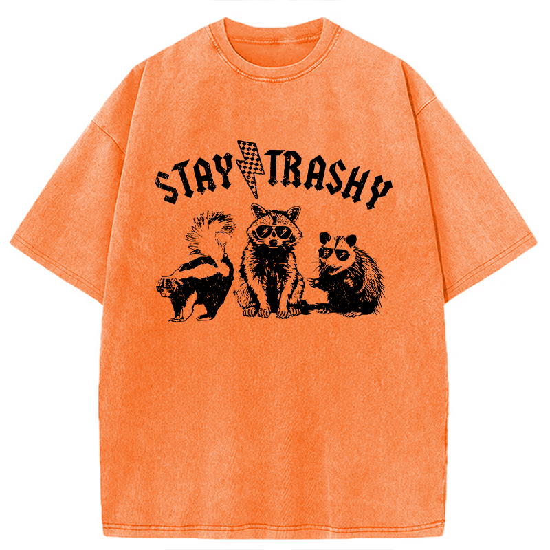 Modecanvas Stay Trashy Funny Raccoon DTG Printing Washed T-Shirt