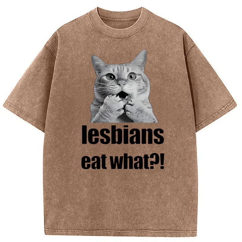 Modecanvas Lesbians Eat What? Funny Gay Joke DTG Printing Washed T-Shirt