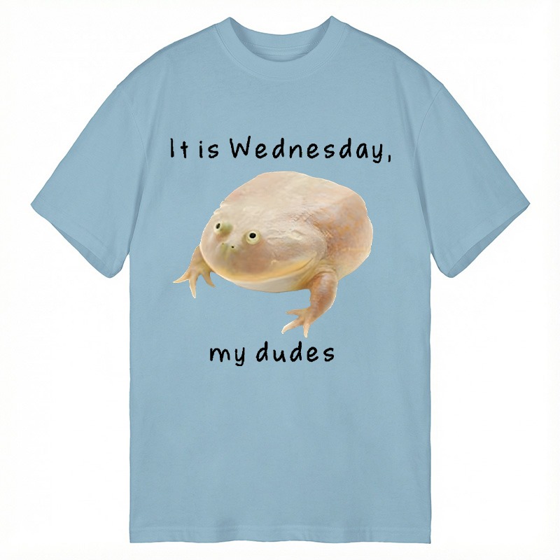 Modecanvas It's Wednesday my dudes DTG Printing Classic T-Shirt-modecanvas