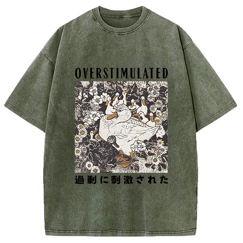 Modecanvas Overthinking Duck Washed T-Shirt