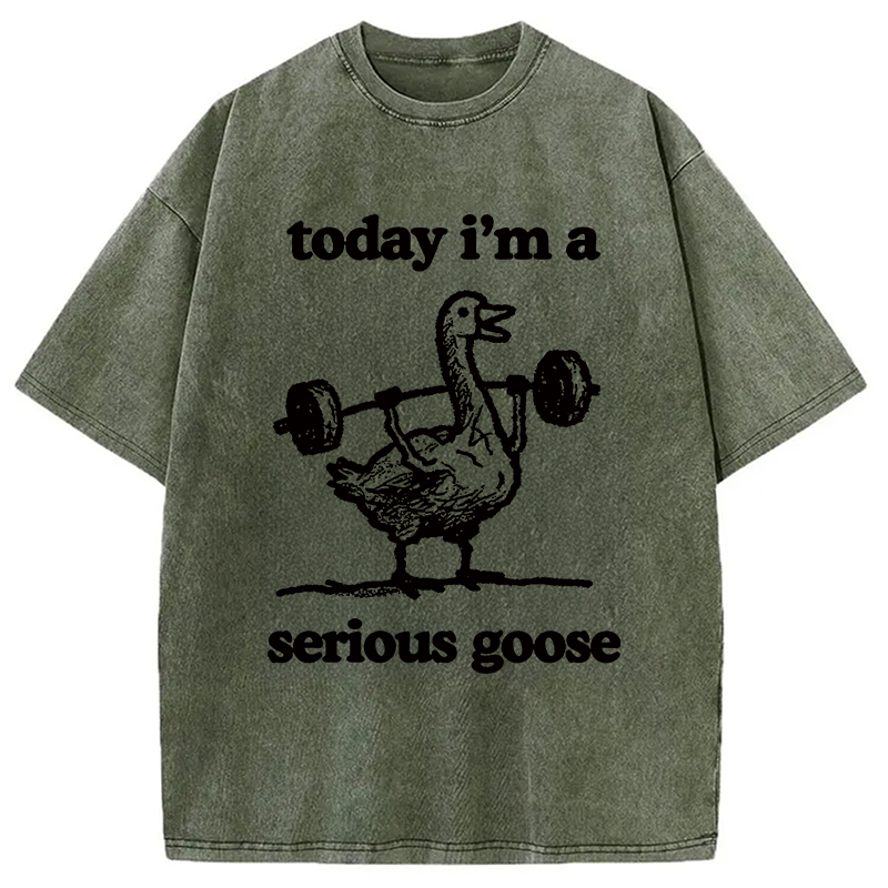 Modecanvas Fitness Goose Washed T-Shirt