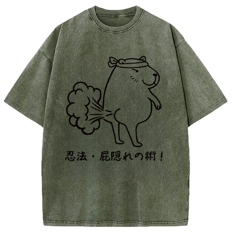 Modecanvas Funny Ninjutsu Fart Hiding Technique Washed T-Shirt