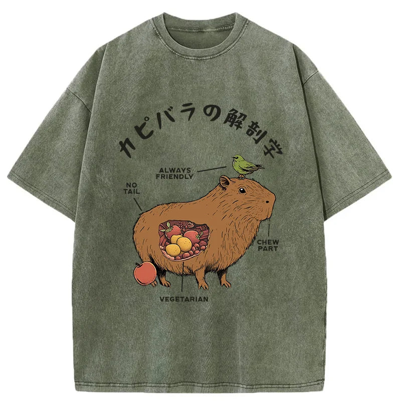 Modecanvas Capybara Anatomy Washed T-Shirt