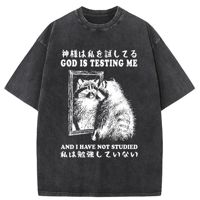 Modecanvas Raccoon Not Studied Washed T-Shirt