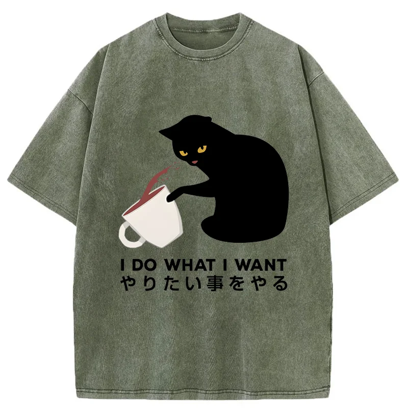 Modecanvas Tsundere Cat Funny Washed T-Shirt