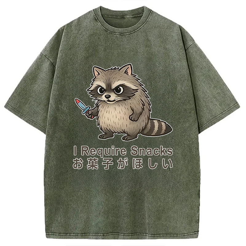 Modecanvas Raccoons Need Snacks Funny Washed T-Shirt