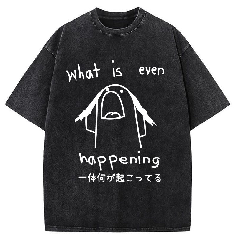 Modecanvas What Is Even Happening Washed T-Shirt-modecanvas